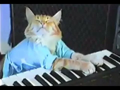 Fatso (Keyboard Cat)